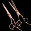 Akashi SUPER CUT SC-Set 6-5.5 Scherenset