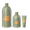 Alter Ego CurEgo Curly Hair Shampoo Best