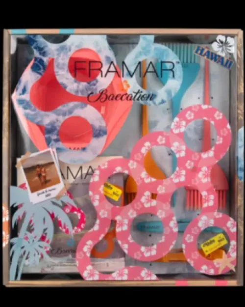 FRAMAR Baecation Colorist Kit Online