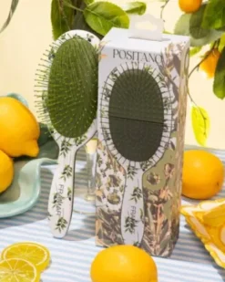 FRAMAR Limoncello - Detangle Brush - Positano Clearance