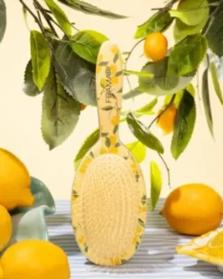 FRAMAR Limoncello - Detangle Brush - Amalfi Online