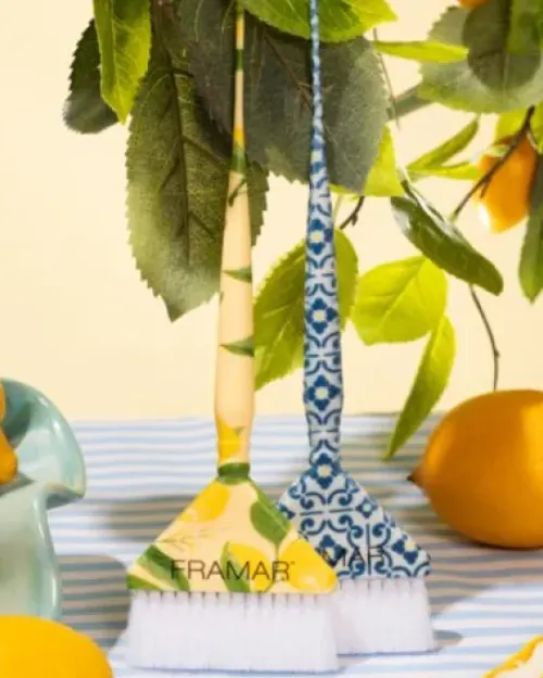 FRAMAR Limoncello - Root Repair Color Brush Set