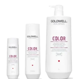 GOLDWELL Dualsenses Color Brilliance Shampoo Best