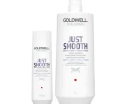 GOLDWELL Dualsenses Just Smooth Taming Shampoo Best