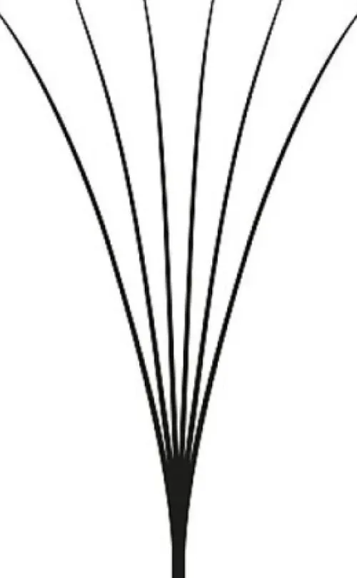 LASH beLONG Easy Volume Lashes 6D - MIX-Box D-Curl Hot