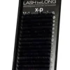 LASH beLONG X-D Volume Lashes C-Curl Online