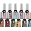 Magnetic Gelpolish Color New
