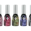 Magnetic Gelpolish Color Roller Disco