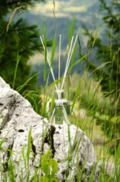 My Senso Alpine Collection Diffuser N°73 Fresh Herbs Online
