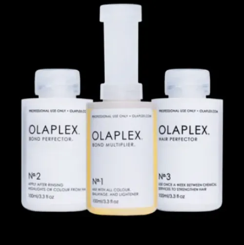 Olaplex Traveling Styling Kit Best