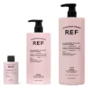 REF Illuminate Colour Conditioner Online