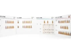 Schwarzkopf Color Chart BLONDME 03/23 Best