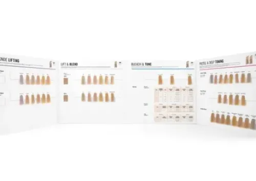 Schwarzkopf Color Chart BLONDME 03/23 Best