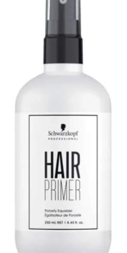 Schwarzkopf Hair Primer Best