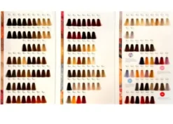 Super Brillant Color Farbberatungskarte 2022 Sale